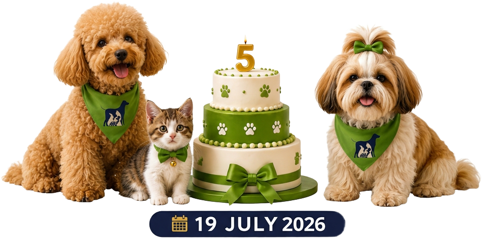 ADORABLES Pet Clinic celebrating 5 years with dogs, a cat and a birthday cake